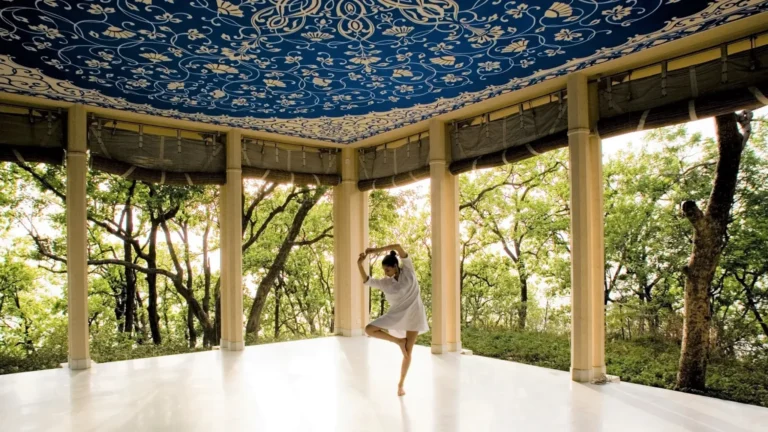 Ananda in the Himalayas