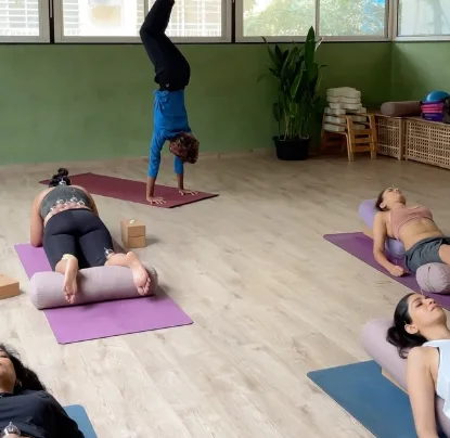 Shaolin Wellness Immersion