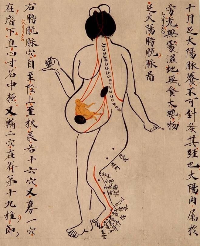 Acupuncture for IVF. How It Actually Works.